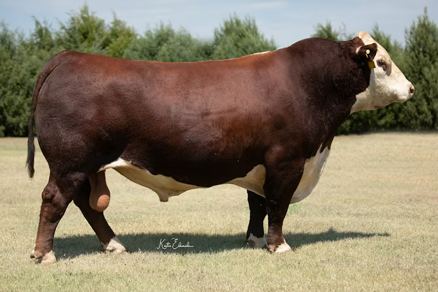 TH FRONTIER 174E